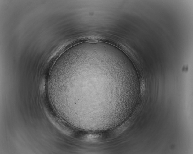 X0000116830158200912241234