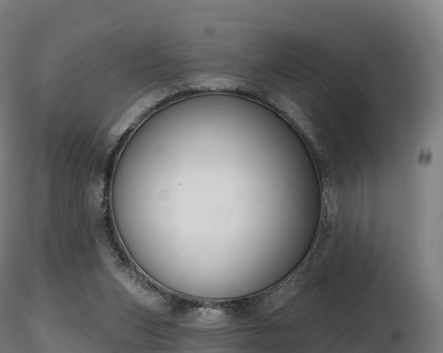 X0000116830159200912241234