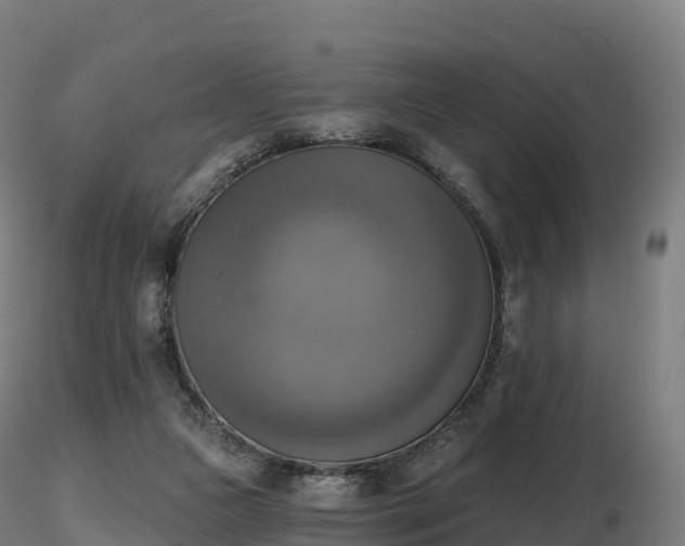 X0000116830161200912241234