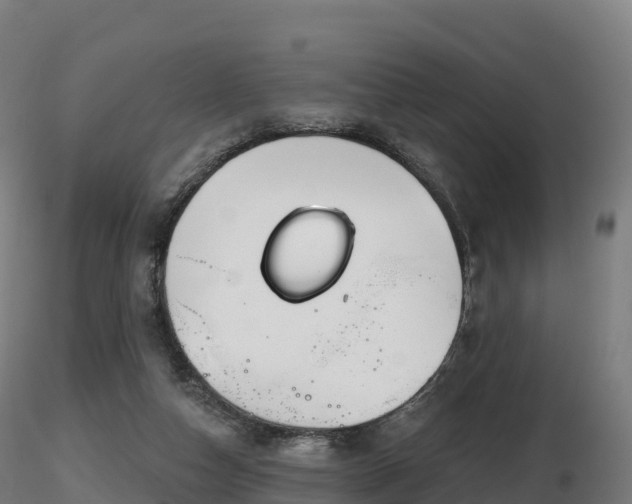 X0000116830162200912241234