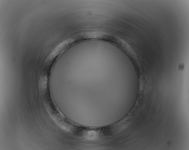X0000116830163200912241234
