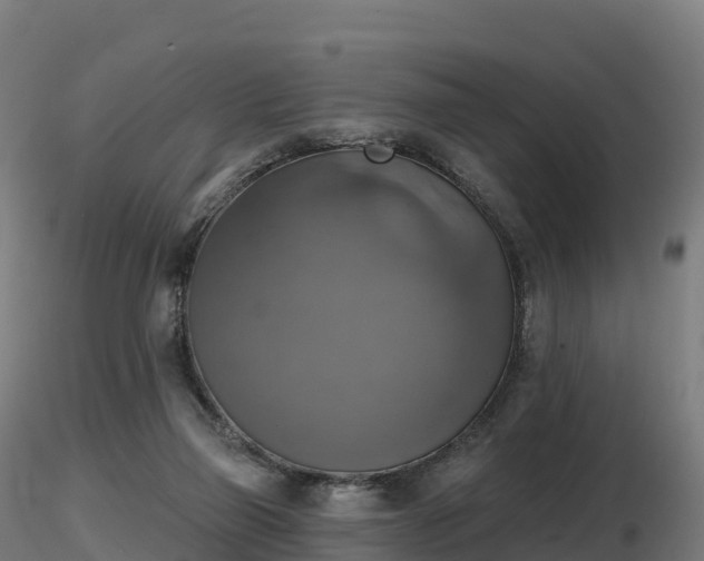 X0000116830165200912241234