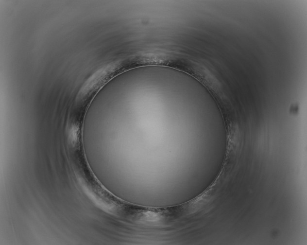 X0000116830166200912241234