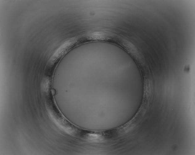 X0000116830167200912241234