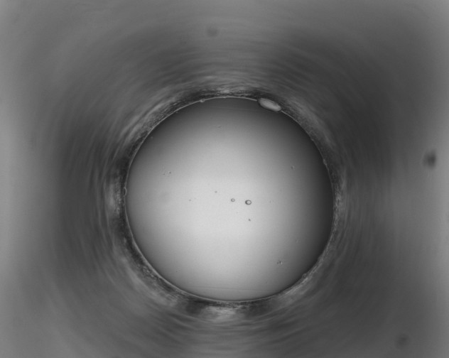 X0000116830170200912241234