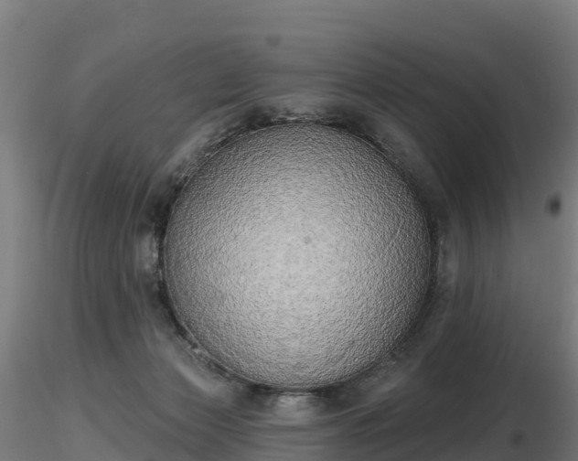 X0000116830173200912241234