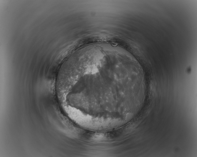 X0000116830177200912241234