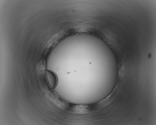 X0000116830179200912241234