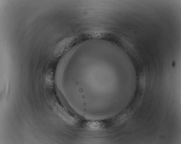 X0000116830181200912241234