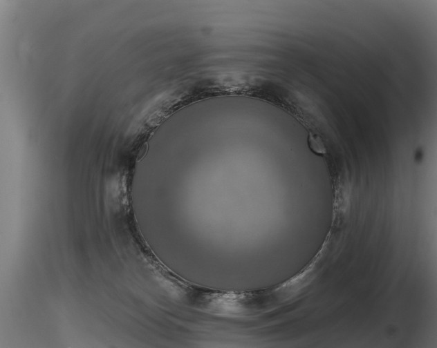 X0000116830182200912241234