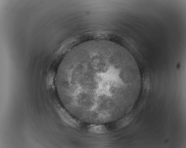 X0000116830185200912241234