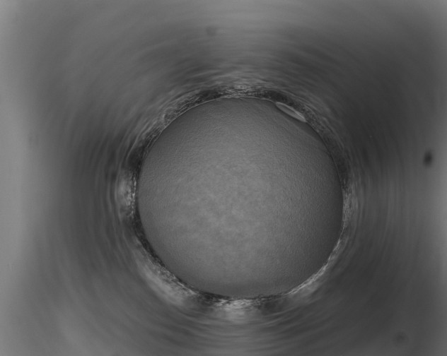 X0000116830186200912241234