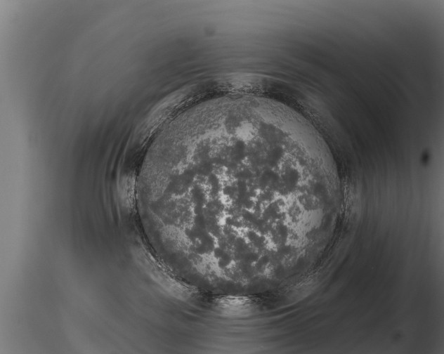 X0000116830189200912241234