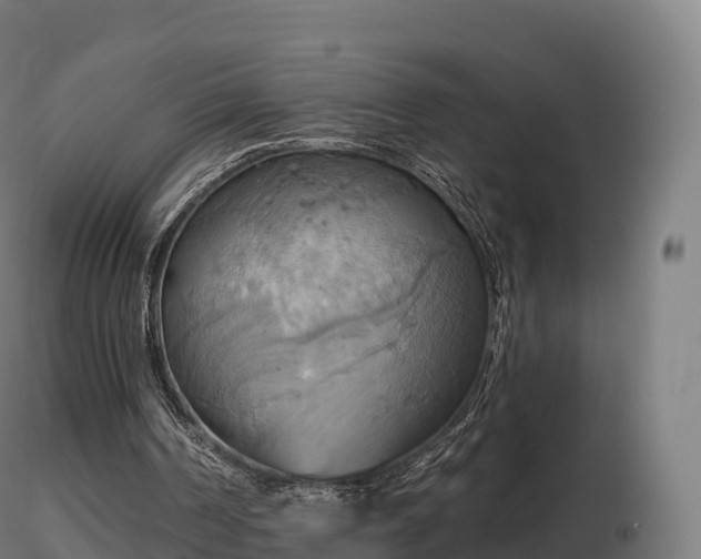 X0000116830194200912241234