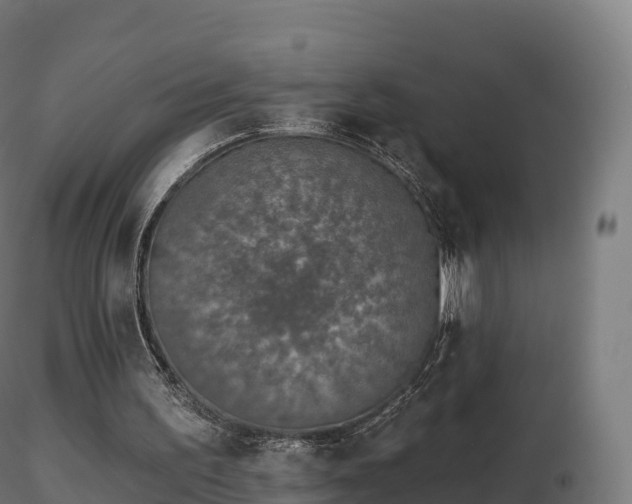 X0000116830195200912241234
