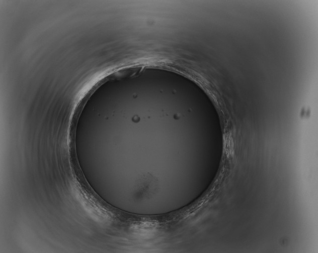 X0000116830196200912241234