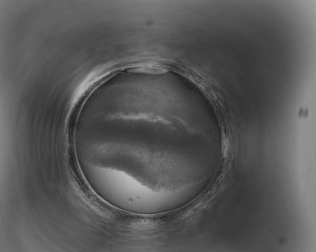 X0000116830198200912241234