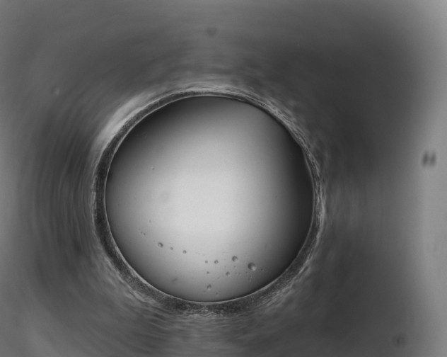 X0000116830199200912241234