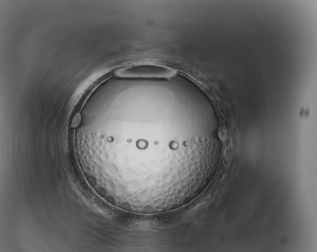 X0000116830200200912241234