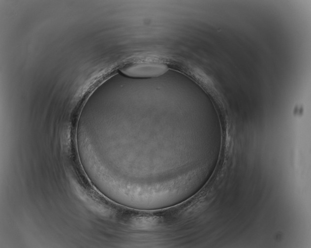 X0000116830202200912241234