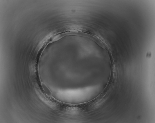 X0000116830203200912241234