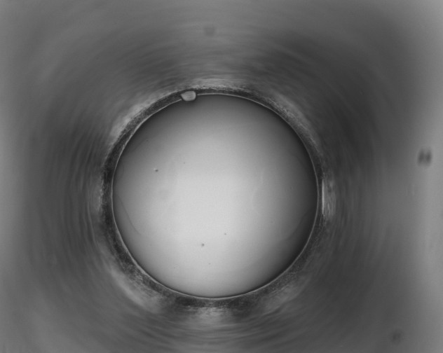 X0000116830204200912241233