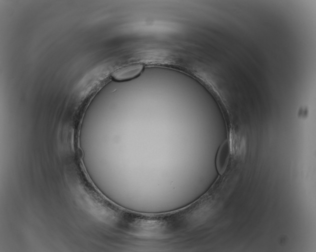 X0000116830205200912241233