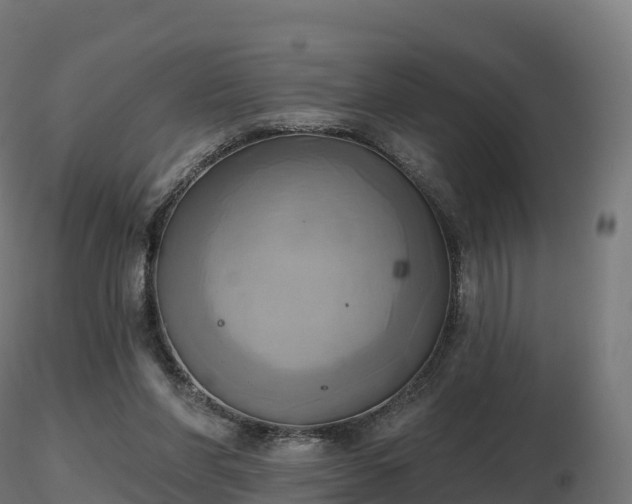 X0000116830206200912241233