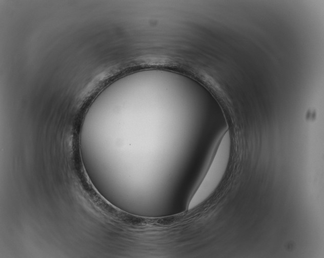 X0000116830207200912241233
