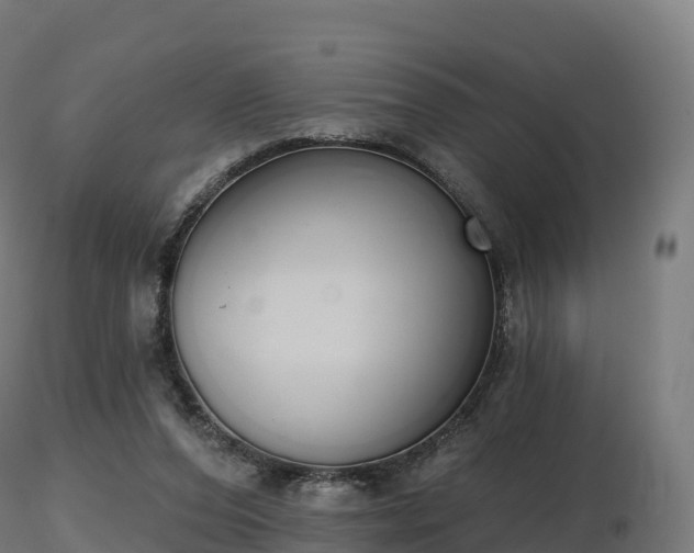 X0000116830208200912241233