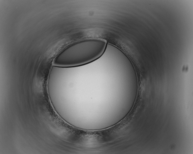 X0000116830209200912241233