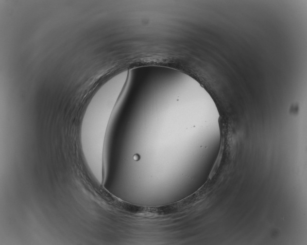 X0000116830211200912241233