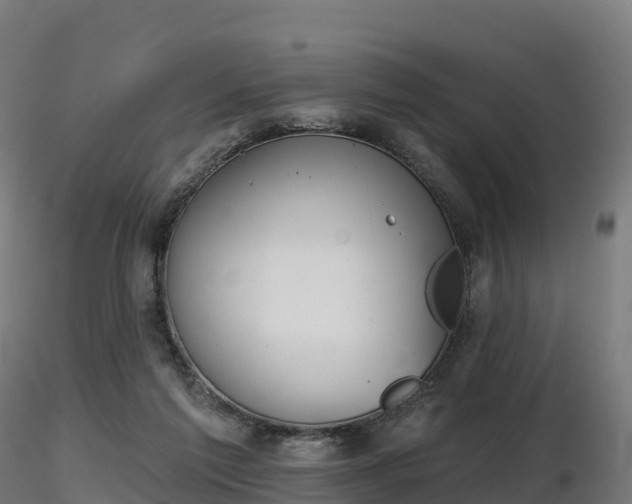 X0000116830213200912241233