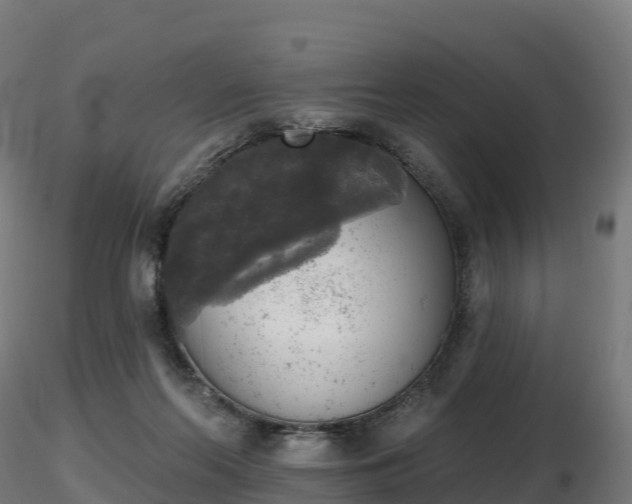 X0000116830214200912241233