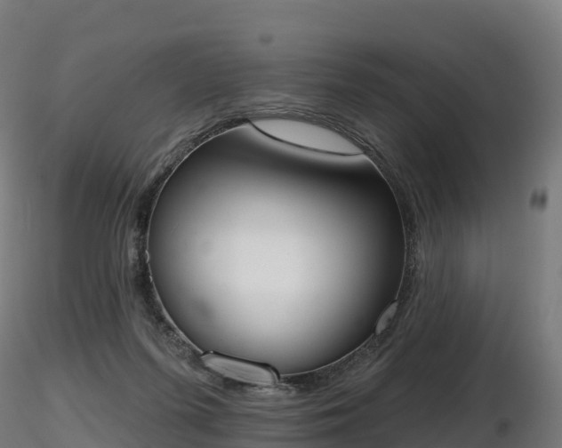 X0000116830215200912241233
