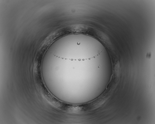 X0000116830217200912241233