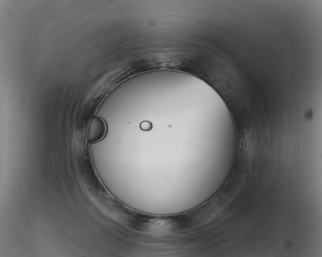 X0000116830218200912241233