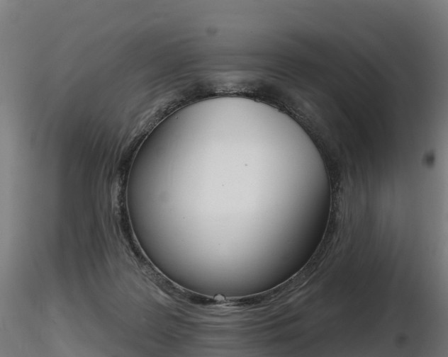 X0000116830219200912241233