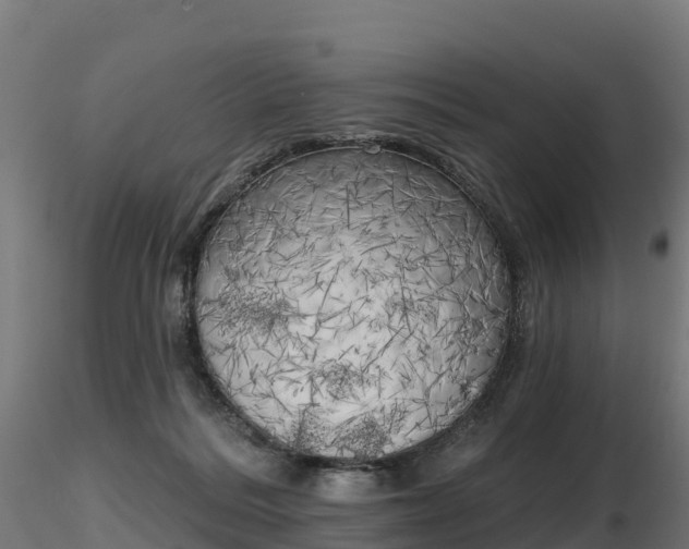 X0000116830220200912241233