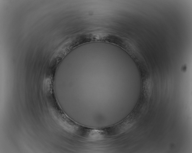 X0000116830222200912241233