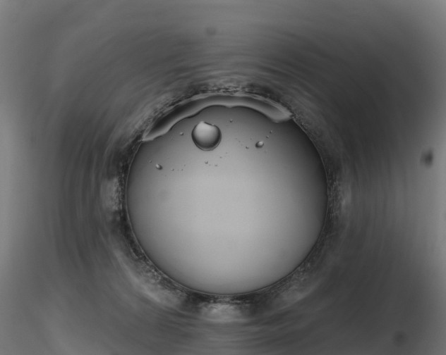 X0000116830224200912241233