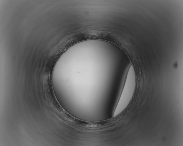X0000116830225200912241233