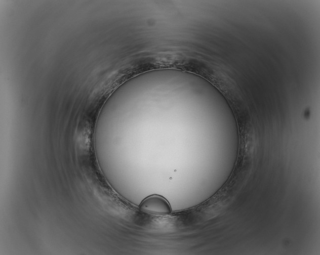 X0000116830226200912241233