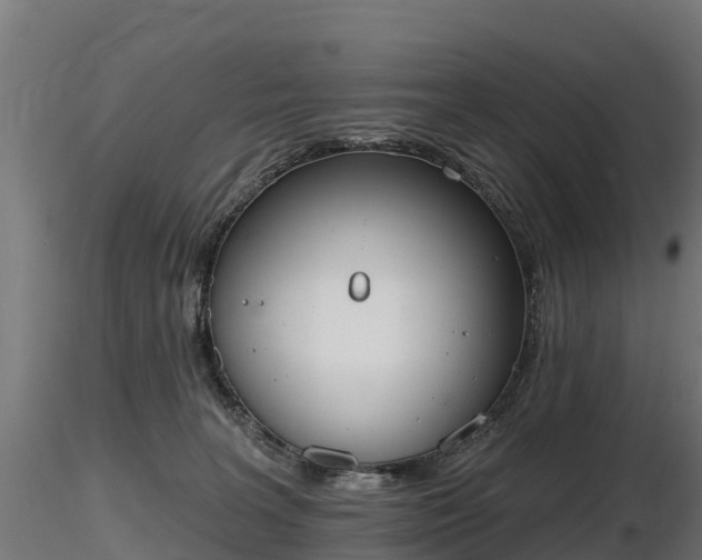 X0000116830227200912241233
