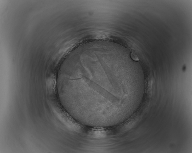 X0000116830228200912241233
