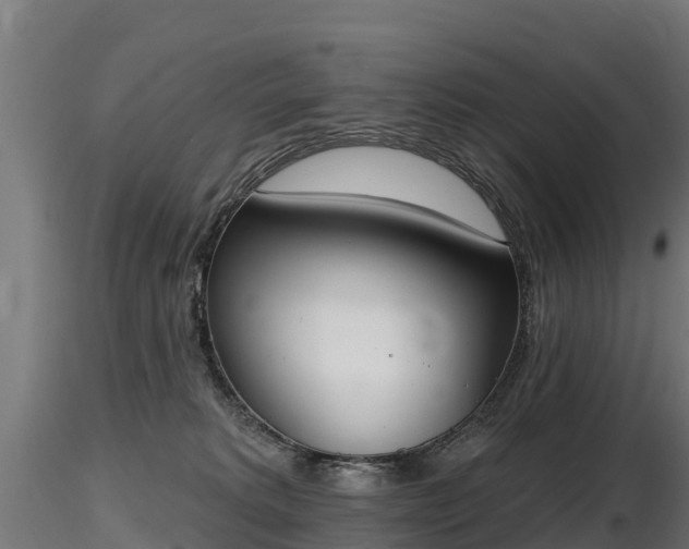 X0000116830229200912241233