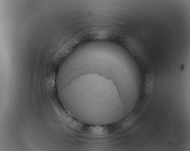 X0000116830230200912241233