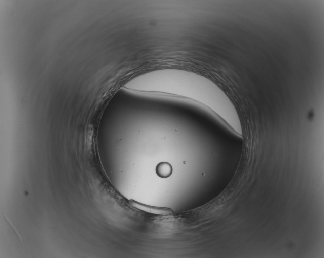 X0000116830231200912241233