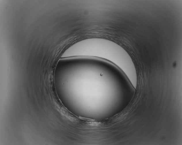 X0000116830233200912241233