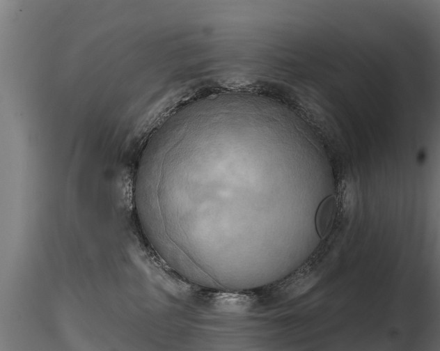 X0000116830234200912241233